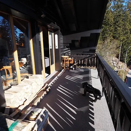 Boisserie Appartement Crans-Montana
